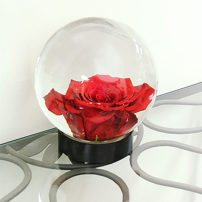 Achla Designs Flower Aquariums, Pack of 3