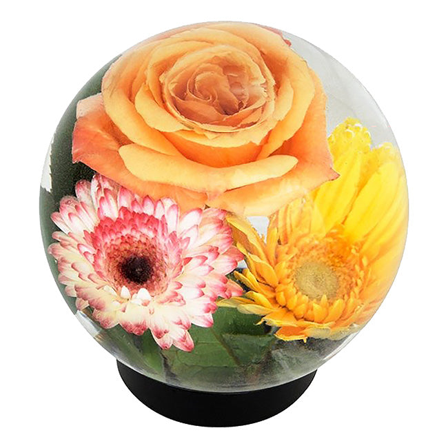 Achla Designs Flower Aquariums, Pack of 3