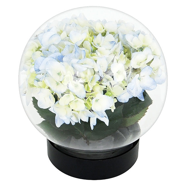Achla Designs Flower Aquariums, Pack of 3