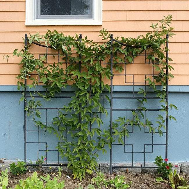 Achla Square on Squares Garden Trellises, 86"H, Pack of 2
