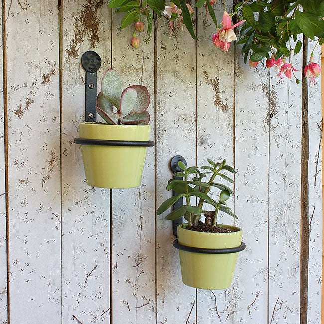 Achla Wall Mounted Flower Pot Holders, Black, 4" dia., 6 Pk.