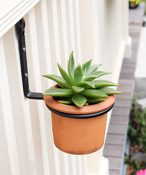 Achla Wall Mounted Flower Pot Holders, Black, 4" dia., 6 Pk.
