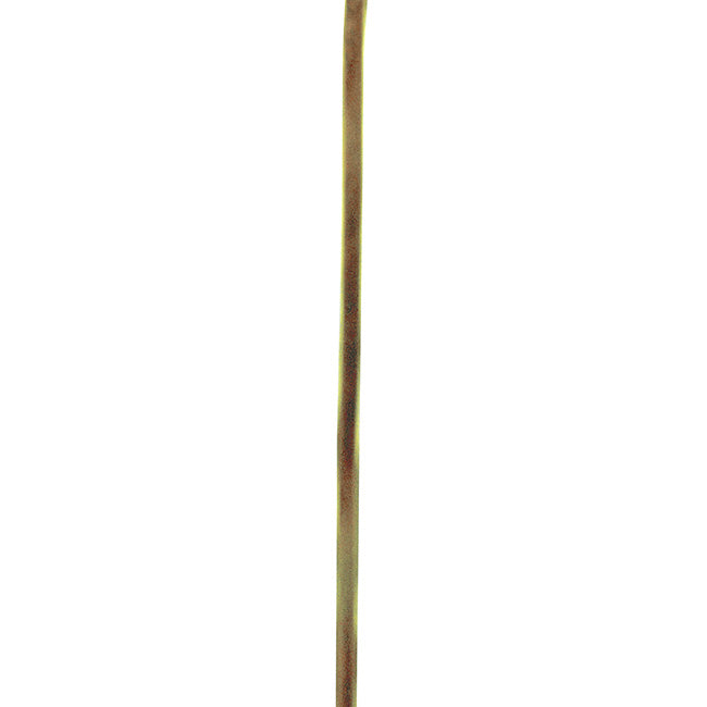 Ancient Graffiti Staked Dragonfly Garden Ornaments, 4 Pack