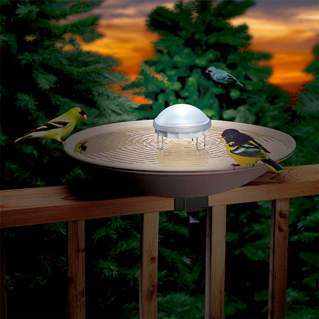 Allied Precision Aurora Color Changing Water Wiggler