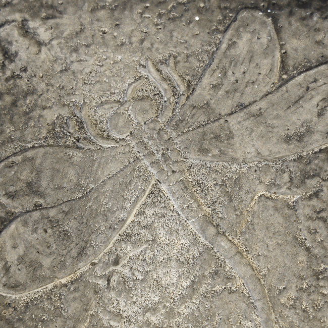 Athens Dragonfly Stepping Stones, Pre Aged, Pack of 2