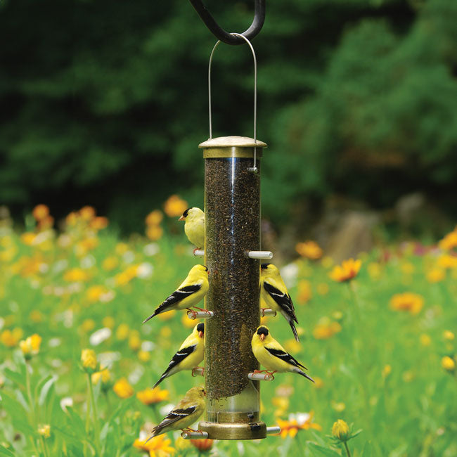 Aspects Thistle Tube Feeders, Medium, Brass, Pack of 2