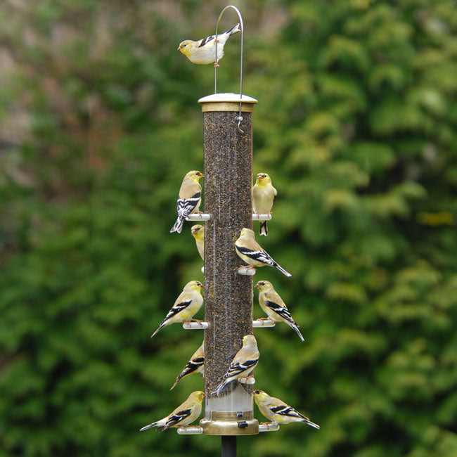 Aspects Thistle Tube Bird Feeders, Lg., Ant. Brass, 2 Pack