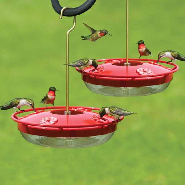 Aspects High View HummZinger Hummingbird Feeders, Pack of 2
