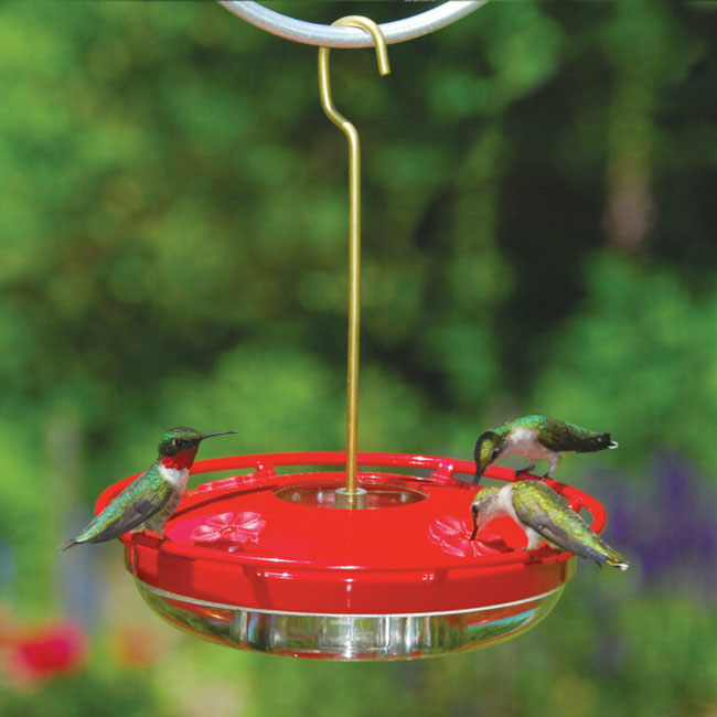 Aspects High View HummZinger Hummingbird Feeders, Pack of 2