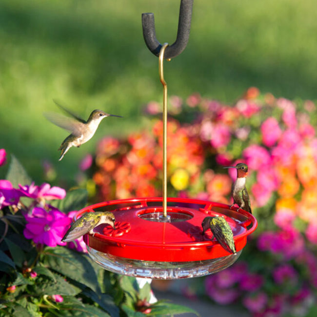 Aspects High View HummZinger Hummingbird Feeders, Pack of 2