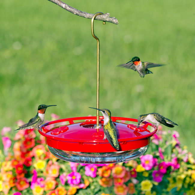 Aspects High View HummZinger Hummingbird Feeders, Pack of 2