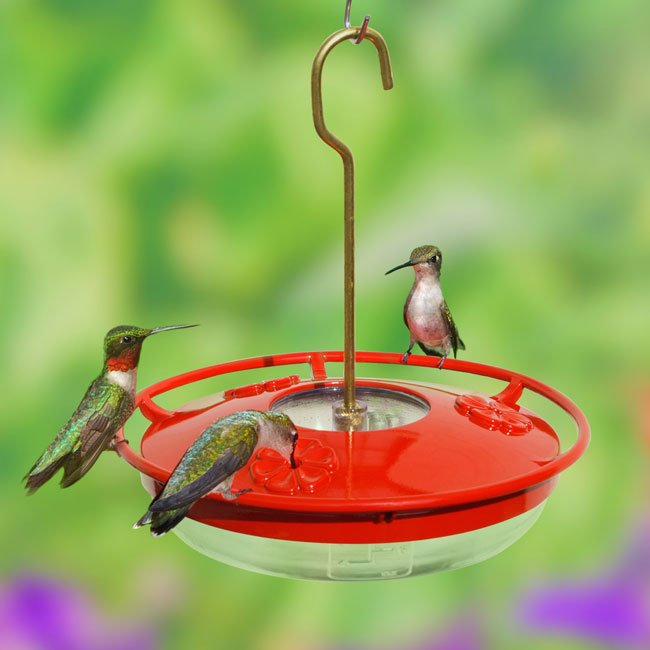 Aspects High View HummZinger Mini Hummingbird Feeders, 2 Pk
