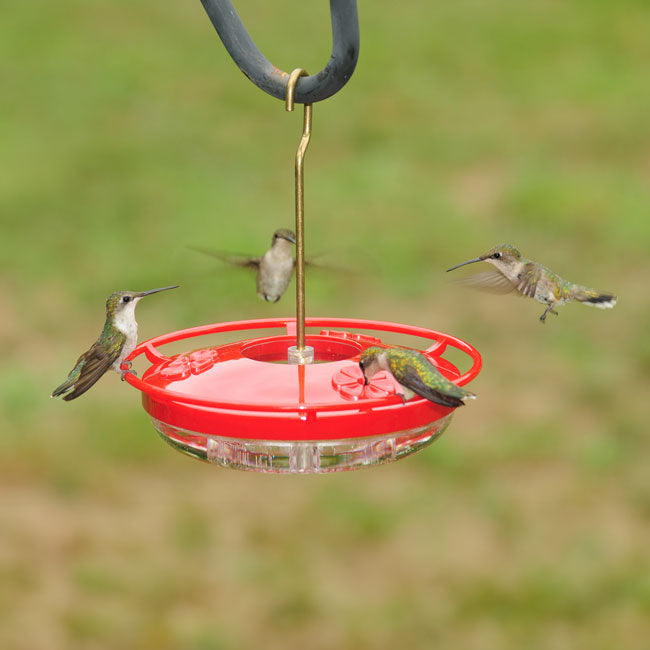 Aspects High View HummZinger Mini Hummingbird Feeders, 2 Pk