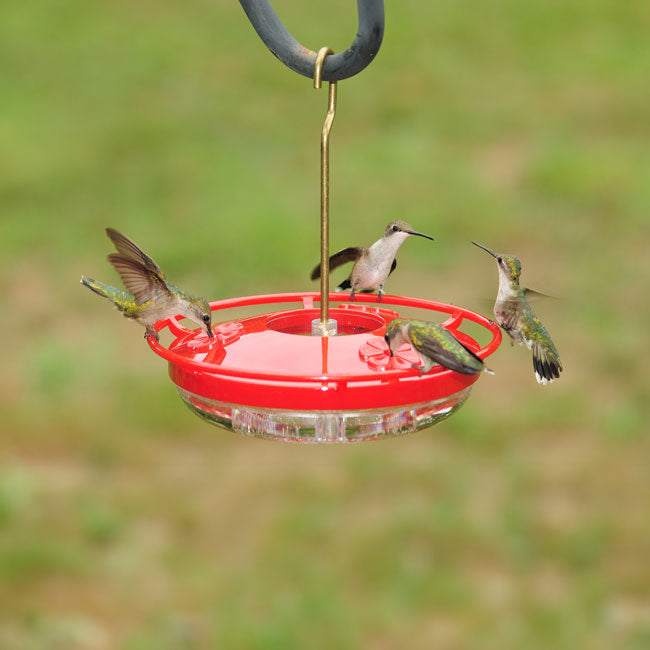 Aspects High View HummZinger Mini Hummingbird Feeders, 2 Pk