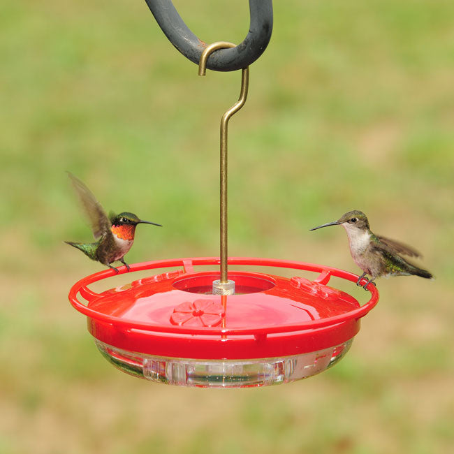 Aspects High View HummZinger Mini Hummingbird Feeders, 2 Pk