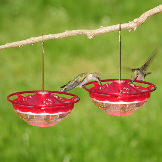Aspects HummBlossom Hummingbird Feeders, Rose, Pack of 2