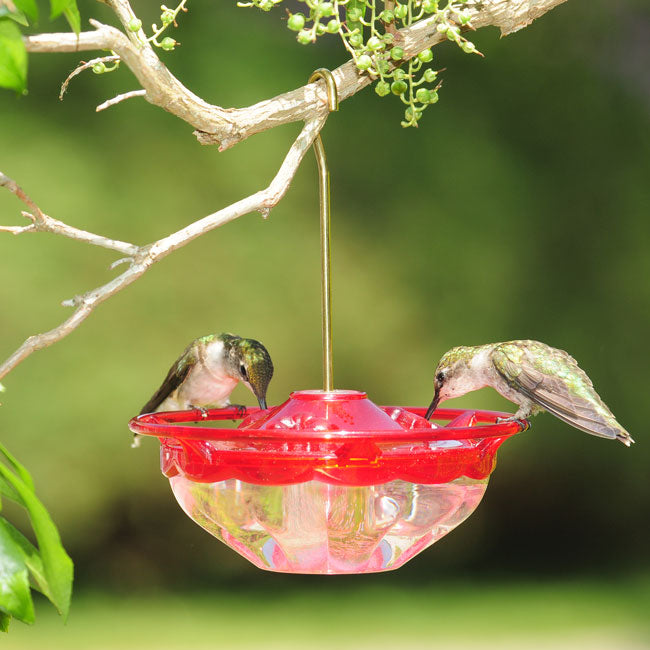 Aspects HummBlossom Hummingbird Feeders, Rose, Pack of 2