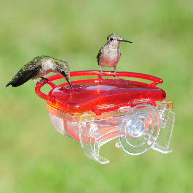 Aspects Gem Window Hummingbird Feeders, 4 oz., Pack of 2