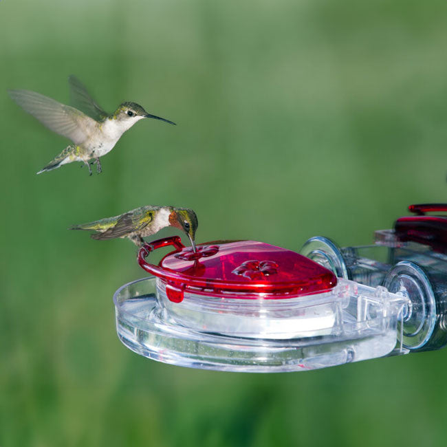 Aspects Gem Window Hummingbird Feeders, 4 oz., Pack of 2