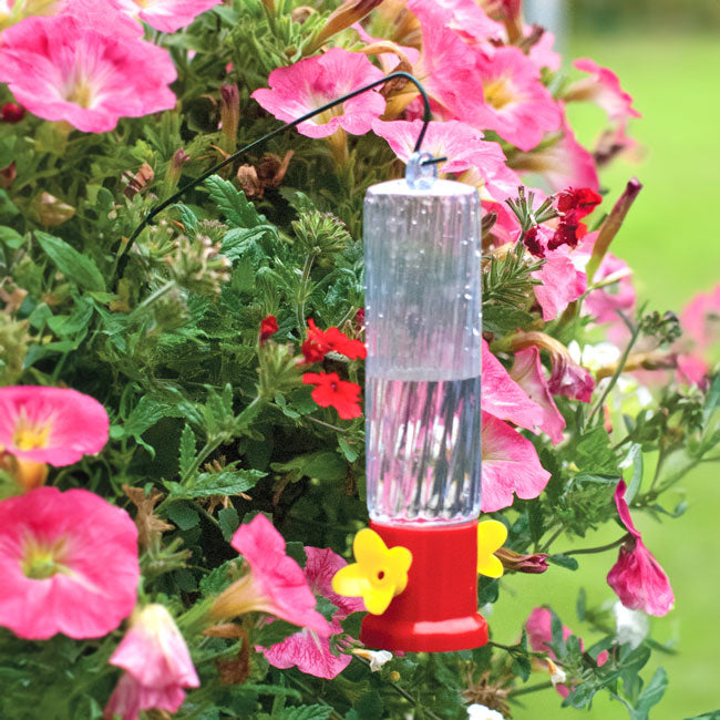 Audubon Staked Garden Hummingbird Feeders, Pack of 6