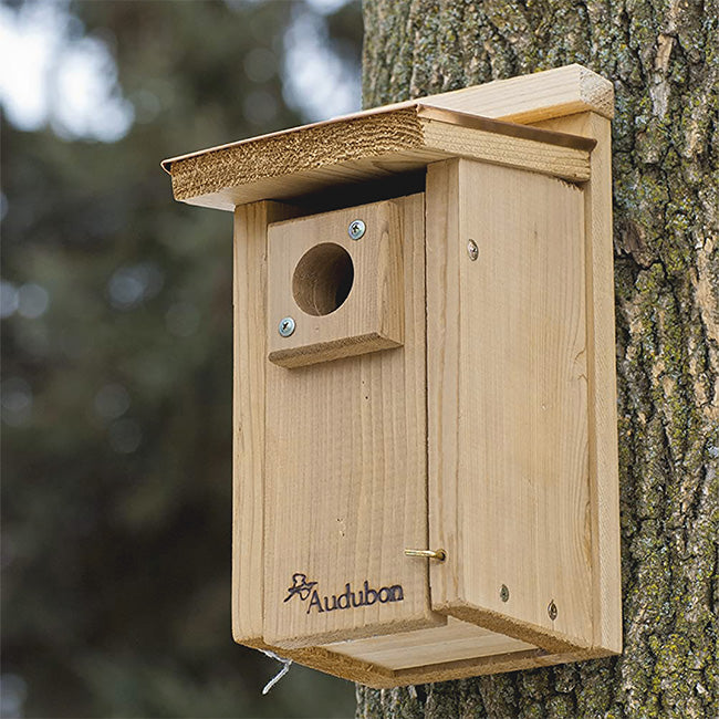Audubon Coppertop Bluebird Houses, Pack of 2