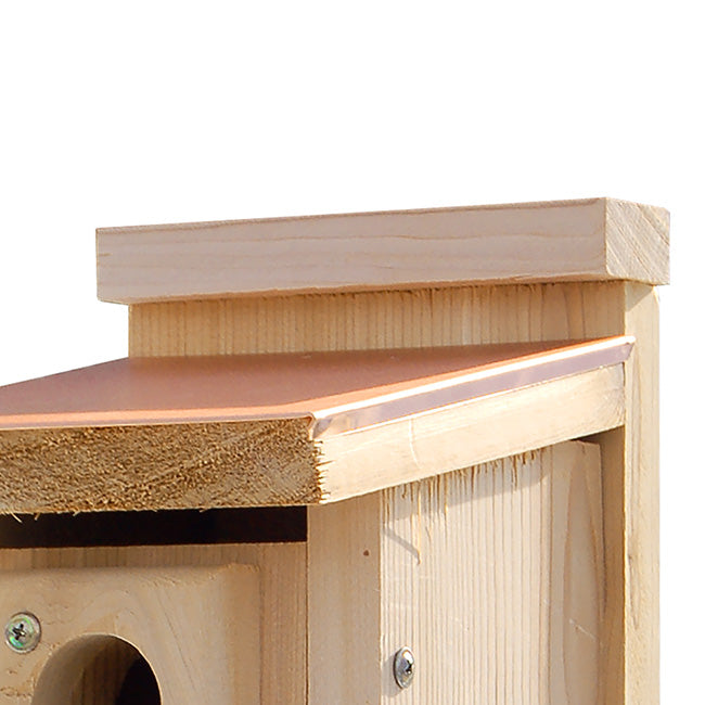 Audubon Coppertop Bluebird Houses, Pack of 2