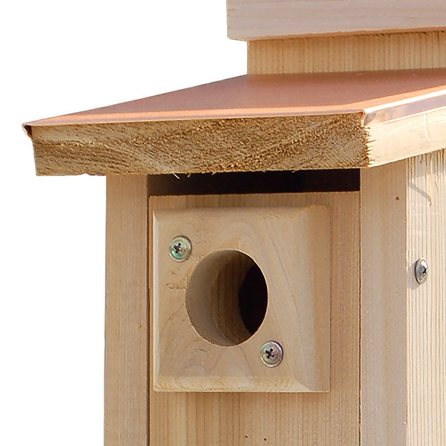 Audubon Coppertop Bluebird Houses, Pack of 2