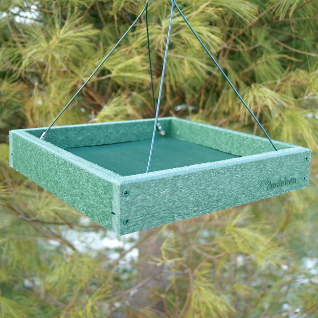 Audubon Recycled Plastic Platform Bird Feeders, Pack of 2