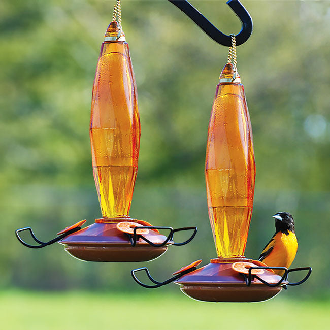 Audubon Cut Glass Oriole Feeders, Amber, 10 oz., Pack of 2