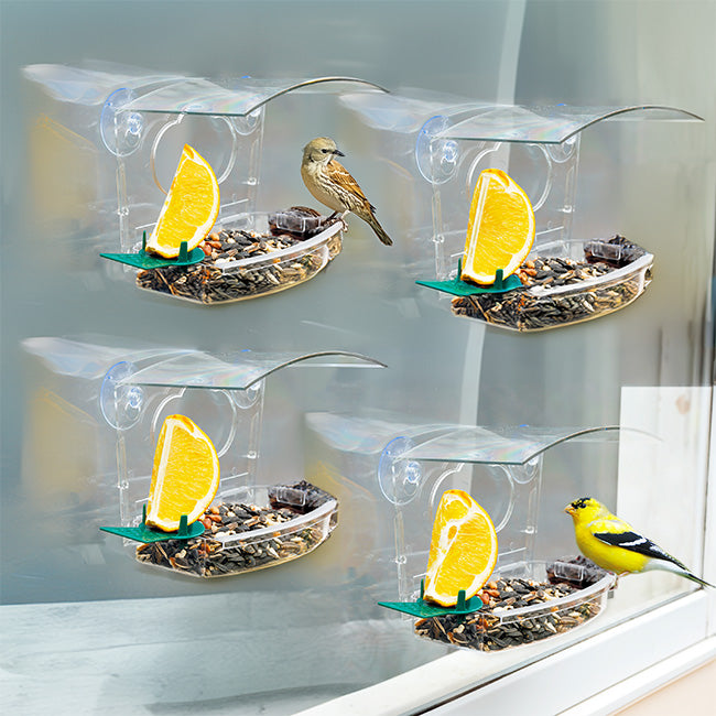 Audubon Mixed Treat Window Bird Feeders, Pack of 4