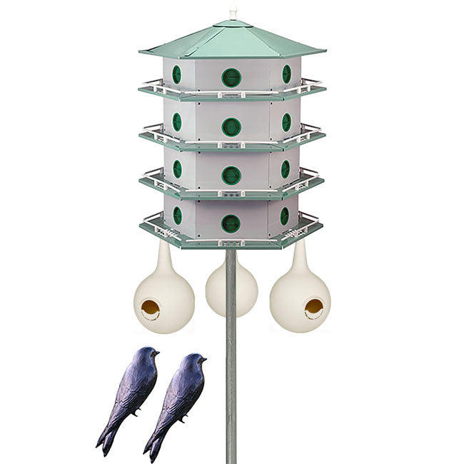 Heath 24-Room Deluxe Purple Martin House & Gourds Kit