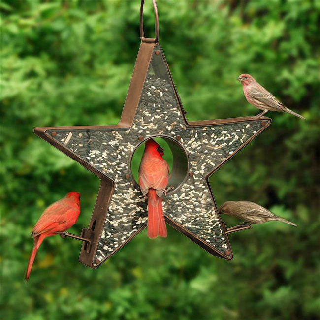 Good Directions Star Shaped Fly Through Bird Feeder Package