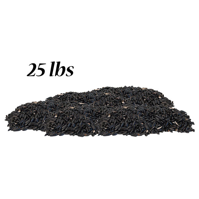Black Oil Sunflower Seed