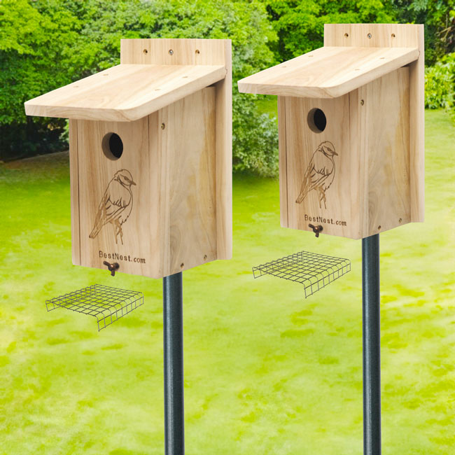 BestNest Seasonal Bluebird Houses with Poles Kit