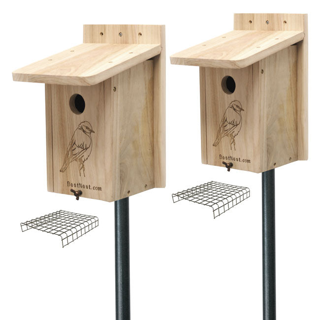 BestNest Seasonal Bluebird Houses with Poles Kit