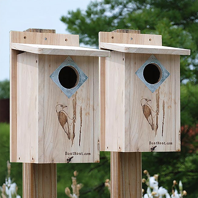 BestNest Classic Three-Woodpecker House