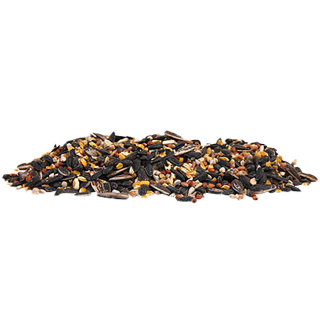 Wild Bird Seed Mix, No Millet Special