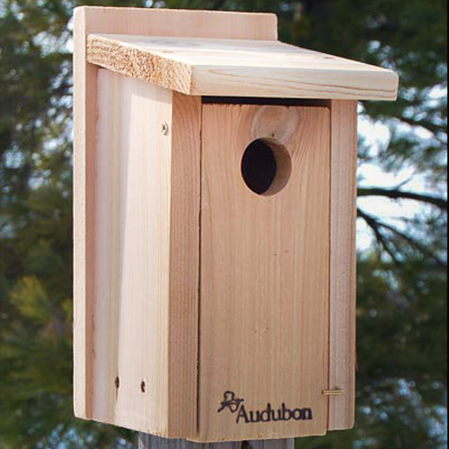 Audubon Cedar Bluebird House with Pole and Hole Protector