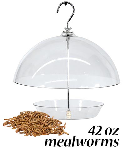 Audubon Domed Wild Bird Feeder with Mealworms Kit