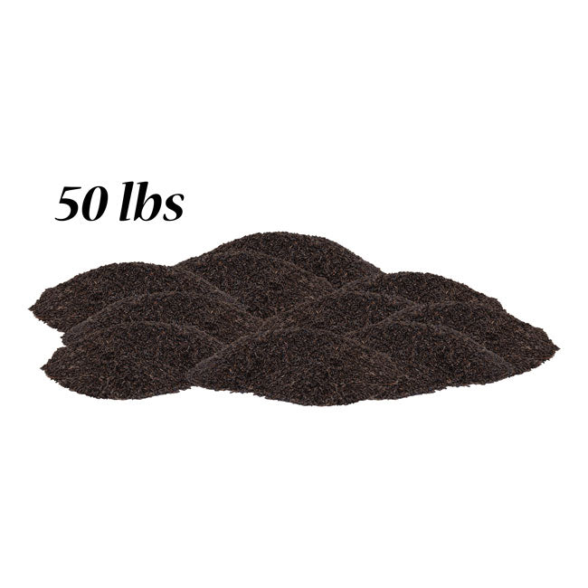Nyjer Seed (Thistle Seed)