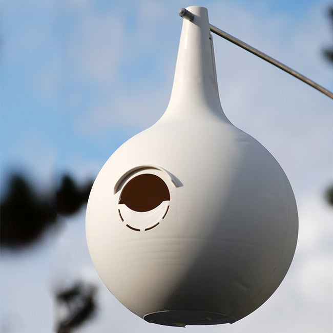 BestNest Classic Purple Martin Gourds and Pole Package