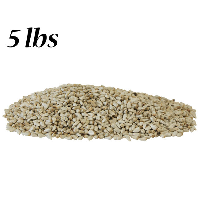 Safflower Seed