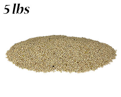 White Millet