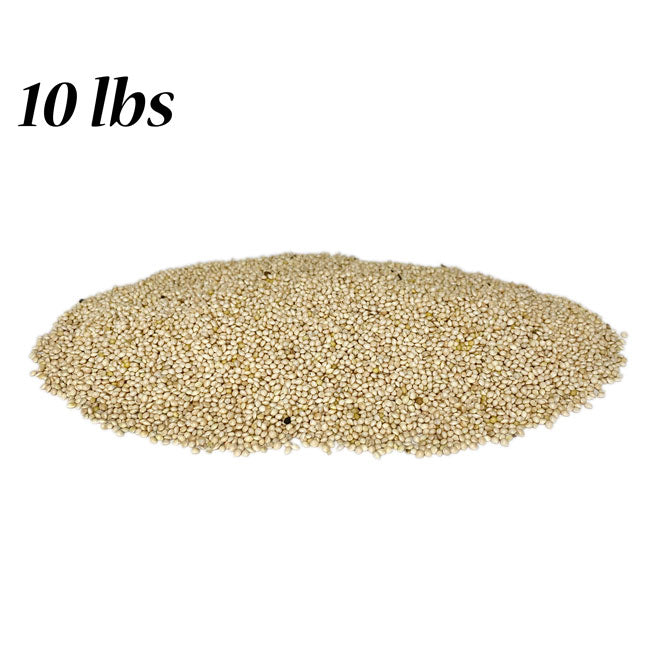 White Millet