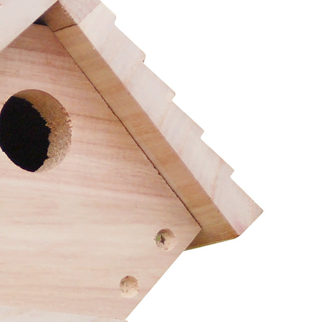 BestNest Classic Hanging Wren House
