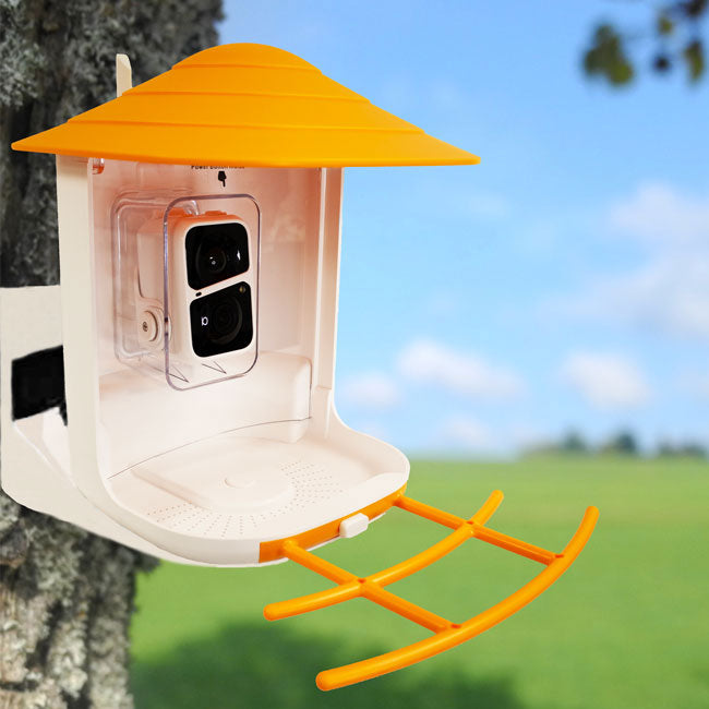 BeakView Bird Feeder Camera with Solar Panel