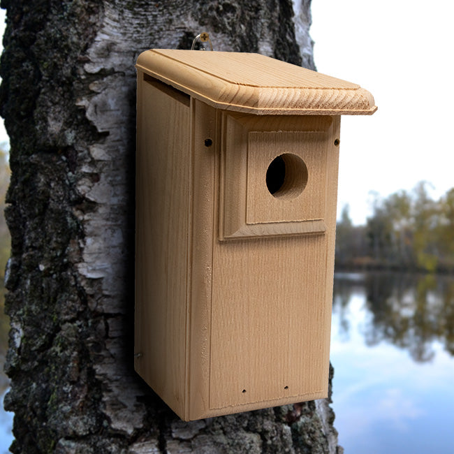Coveside WBU Exclusive 2 Sided Observation Bird Houses, 4 Pk