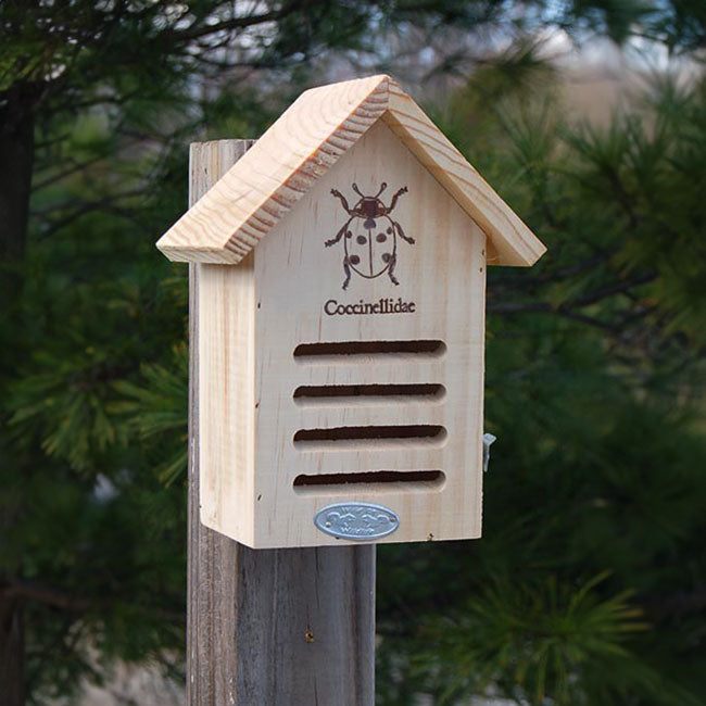 Basic Ladybug House Package by Prime Retreat