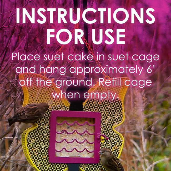 Heath Bird Works Berry Suet Cakes, 11 oz., Pack of 36