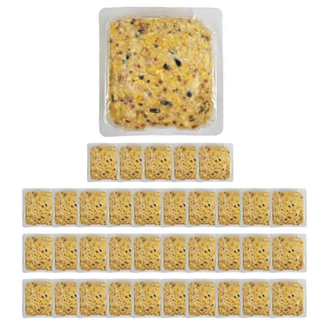 Heath Bird Works Orange Suet Cakes, 11 oz., Pack of 36